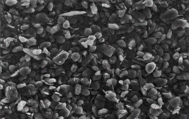 低膨胀、长寿命人造石墨(图1)