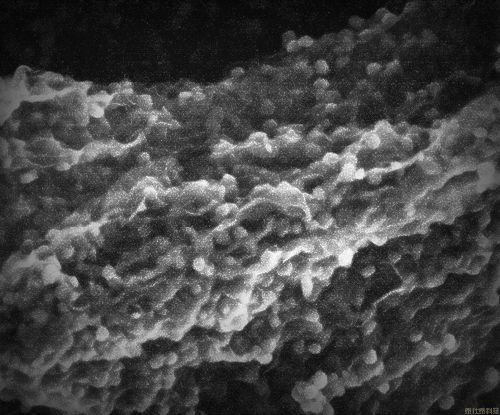 高容量硅系复合材料(图1)